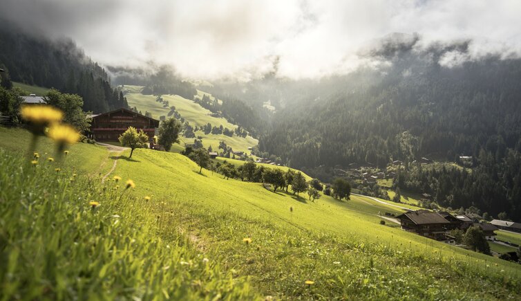 Alpbach Sommer