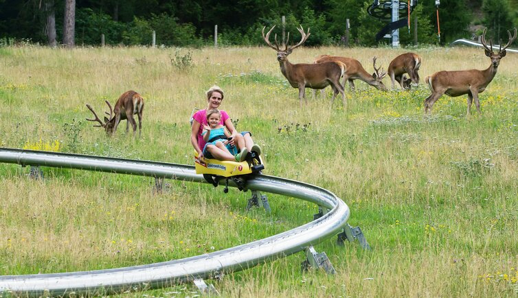 Sommerrodelbahn Assling Assling