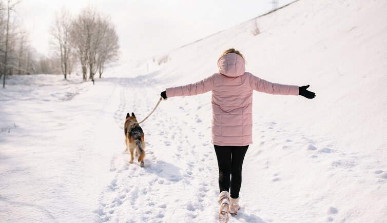 Urlaub Hund Winter