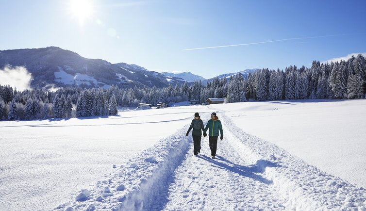 Winterwandern am Penningberg