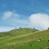 Der Alpenblumengarten befindet sich auf dem Weg zum Kitzb&uuml;heler Horn - Foto: MS, &copy; Peer