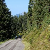 forststrasse zur kreuzwiesenalm