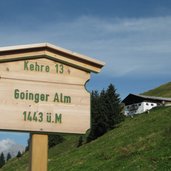 Goinger Alm