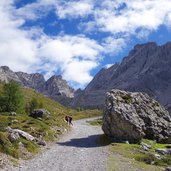 forstweg zur karlsbader huette wanderer