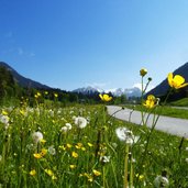 fruehling bei muehltal blick richtung wilder kaiser