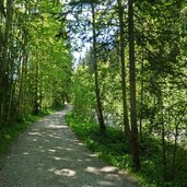 radwanderweg bei au ellmau