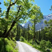 via alpina karwendeltal kurz vor karwendelhaus