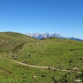 wanderweg bei wildalm