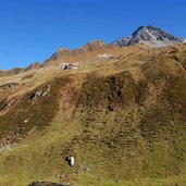 herbst aussicht auf hochleger alm und edel huette mit ahronspitze bis toreggenkopf fr