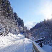 axamer talweg winter