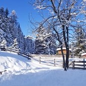 schafalm axamer lizum winter