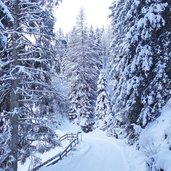 rodelbahn bei axamer lizum schafalm