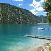 achensee hund im wasser schwimmen