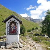 ganderbild tal heidekrautwiesen fr