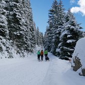 rodelbahn juifenalm