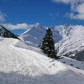 rodelbahn juifenalm