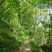 peter anich weg bei hof oberhalb von inzing