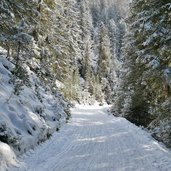 rodelbahn juifenalm