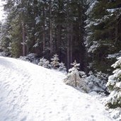 winter weg nach maria waldrast