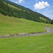 almwiesen bei langer grund