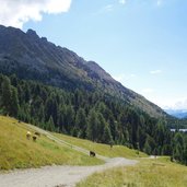 forst strasse von stier alm nach plamort fr