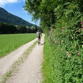 radweg am inn inntalradweg bei langkampfen