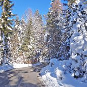 weg von moesern richtung lottensee winter