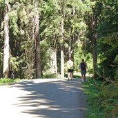 wanderer am forstweg zur weidener huette route bzw mtb