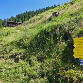 abzweigung kleiner gilfert und fiderissalm bei weidener huette fr