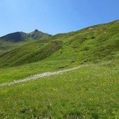 almwiesen oberhalb der hobalm fr