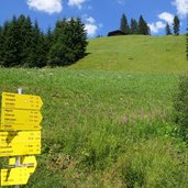 wegweiser bei abzweigung geislerhof