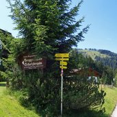 abzweigung schatzbergalm wanderweg und mtb route fr