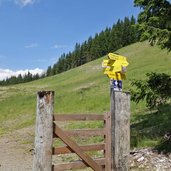 mtb route bei schatzberg nr richtung alpbach