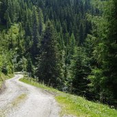 mtb route nach alpbach talfahrt