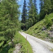 mtb route nach alpbach talfahrt nahe pechalm