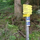 mtb route nach alpbach talfahrt nahe pechalm abzweigung