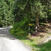 wanderweg alpbach pechalm schatzberg