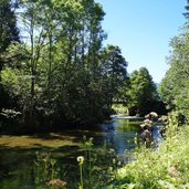 vils bei kalbelehof alpe