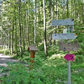 hohenschwangau wegweiser bei alpsee