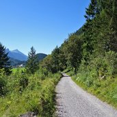 mtb route von alpsee nach pinswang fuerstenweg