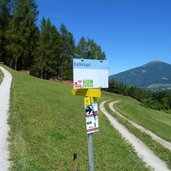 wanderwege wiesen bei telfes stubai