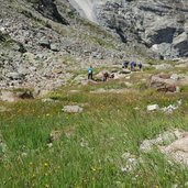 abstieg e von braunschweiger huette ins pitztal