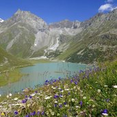 blick auf rifflsee und flora