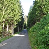 forstweg zur kamelisenalm