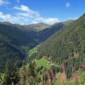 aussicht richtung kalkstein