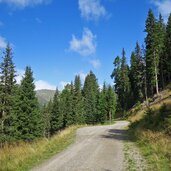 forstweg zur kamelisenalm