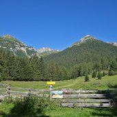 weg ueber wiesen am finetzbach fr