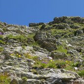 felsen nahe hollbrucker spitze