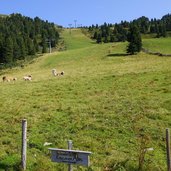 wegweiser bei abzweigung kreuzjoch huette