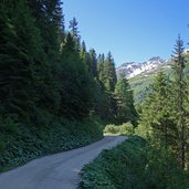 forstweg moostal route und mtb oberhalb von st anton